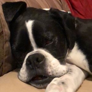 Meet your Posher, Pamela